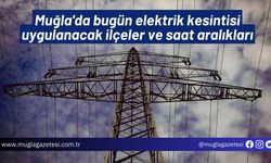 Muğla'da bugün elektrik kesintisi uygulanacak ilçeler ve saat aralıkları