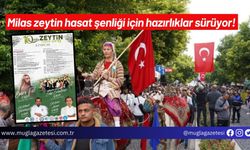 Milas zeytin hasat şenliği için hazırlıklar sürüyor!