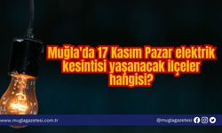 Muğla'da 17 Kasım Pazar elektrik kesintisi yaşanacak ilçeler hangisi?