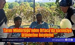 Tarım Müdürlüğü'nden Ortaca'da narenciye ürünlerine inceleme