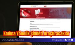 Kadına Yönelik Şiddeti Araştıracaklar