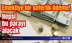 Emekliye bir seferlik ödeme! Hepsi bu parayı alacak