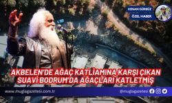 AKBELEN’DE AĞAÇ KATLİAMINA KARŞI ÇIKAN SUAVİ BODRUM’DA AĞAÇLARI KATLETMİŞ