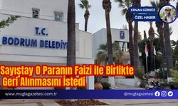 Sayıştay O Paranın Faizi ile Birlikte Geri Alınmasını İstedi