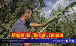 Muğla'da "Karga" Zamanı