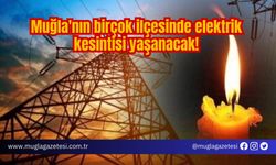 Muğla'nın birçok ilçesinde elektrik kesintisi yaşanacak!