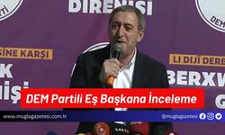 DEM Partili Eş Başkana İnceleme