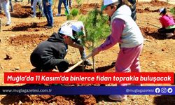 Muğla’da 11 Kasım'da binlerce fidan toprakla buluşacak