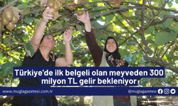 Türkiye'de ilk belgeli olan meyveden 300 milyon TL gelir bekleniyor