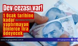 Dev cezası var! 1 Ocak tarihine kadar yaptırmayan binlerce lira ödeyecek