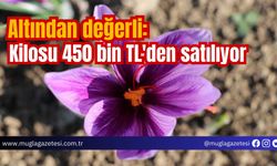 Altından değerli: Kilosu 450 bin TL'den satılıyor