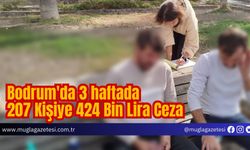 Bodrum'da 3 haftada 207 Kişiye 424 Bin Lira Ceza