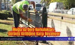 Muğla'da Dere Korkulukları, Görüntü Kirliliğine Karşı Boyanıyor