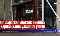 Süt sağarken elektrik akımına kapılan kadın yaşamını yitirdi