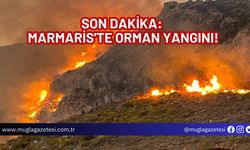 SON DAKİKA: MARMARİS'TE ORMAN YANGINI!