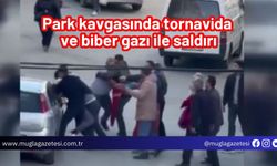 Park kavgasında tornavida ve biber gazı ile saldırı