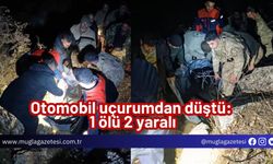 Otomobil uçurumdan düştü: 1 ölü 2 yaralı