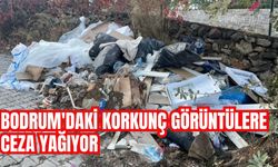 BODRUM'DAKİ KORKUNÇ GÖRÜNTÜLERE CEZA YAĞIYOR