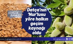 Datça'nın 'Nur'lusu yöre halkın geçim kaynağı oldu