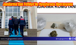 Jandarma'dan Fethiye'de Uyuşturucu Operasyonu