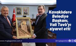 Kavaklıdere Belediye Başkanı, Vali Tavlı'yı ziyaret etti