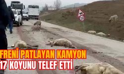 FRENİ PATLAYAN KAMYON 17 KOYUNU TELEF ETTİ