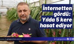 İnternetten gördü: Yılda 5 kere hasat ediyor