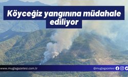 Köyceğiz yangınına müdahale ediliyor