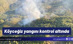 Köyceğiz yangını kontrol altında