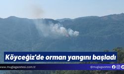 Köyceğiz'de orman yangını başladı