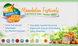 BODRUM’DA GELENEKSEL MANDALİNA FESTİVALİ BAŞLIYOR