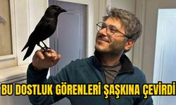 BU DOSTLUK GÖRENLERİ ŞAŞKINA ÇEVİRDİ