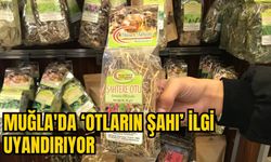 MUĞLA'DA 'OTLARIN ŞAHI' İLGİ UYANDIRIYOR