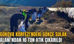 GÖKOVA KÖRFEZİ'NDEKİ GÖKÇE SULAK ALANI'NDAN 10 TON ATIK ÇIKARILDI