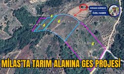 MİLAS’TA TARIM ALANINA GES PROJESİ