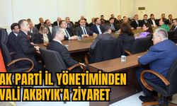 AK PARTİ İL YÖNETİMİNDEN VALİ AKBIYIK’A ZİYARET