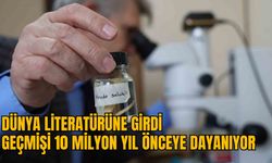 DÜNYA LİTERATÜRÜNE GİRDİ: GEÇMİŞİ 10 MİLYON YIL ÖNCEYE DAYANIYOR