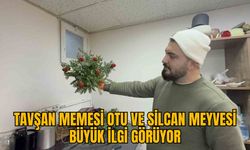 TAVŞAN MEMESİ OTU VE SİLCAN MEYVESİ BÜYÜK İLGİ GÖRÜYOR