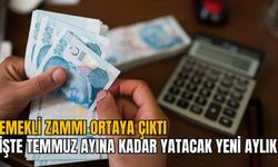 EMEKLİ ZAMMI ORTAYA ÇIKTI: İŞTE TEMMUZ AYINA KADAR YATACAK YENİ AYLIK