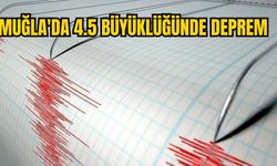 Muğla'da 4.5 Büyüklüğünde Deprem