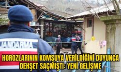 HOROZLARININ KOMŞUYA VERİLDİĞİNİ DUYUNCA DEHŞET SAÇMIŞTI: YENİ GELİŞME