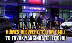 KÜMES ALEVLERE TESLİM OLDU: 70 TAVUK YANGINDA TELEF OLDU