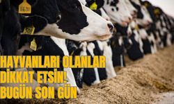 HAYVANLARI OLANLAR DİKKAT ETSİN! BUGÜN SON GÜN