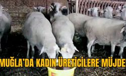 MUĞLA’DA KADIN ÜRETİCİLERE MÜJDE!