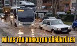 MİLAS’TAN KORKUTAN GÖRÜNTÜLER