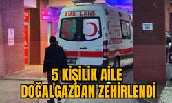 5 KİŞİLİK AİLE DOĞALGAZDAN ZEHİRLENDİ