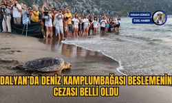 DALYAN’DA DENİZ KAMPLUMBAĞASI BESLEMENİN CEZASI BELLİ OLDU