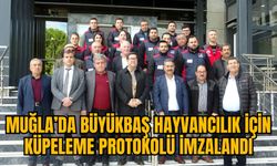 MUĞLA’DA BÜYÜKBAŞ HAYVANCILIK İÇİN KÜPELEME PROTOKOLÜ İMZALANDI