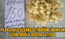 YILBAŞI GECESİ ŞANS GETİRDİĞİNE İNANILAN ÜZÜM MUĞLA'DA YOK SATIYOR