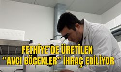 FETHİYE’DE ÜRETİLEN ‘’AVCI BÖCEKLER’’ İHRAÇ EDİLİYOR